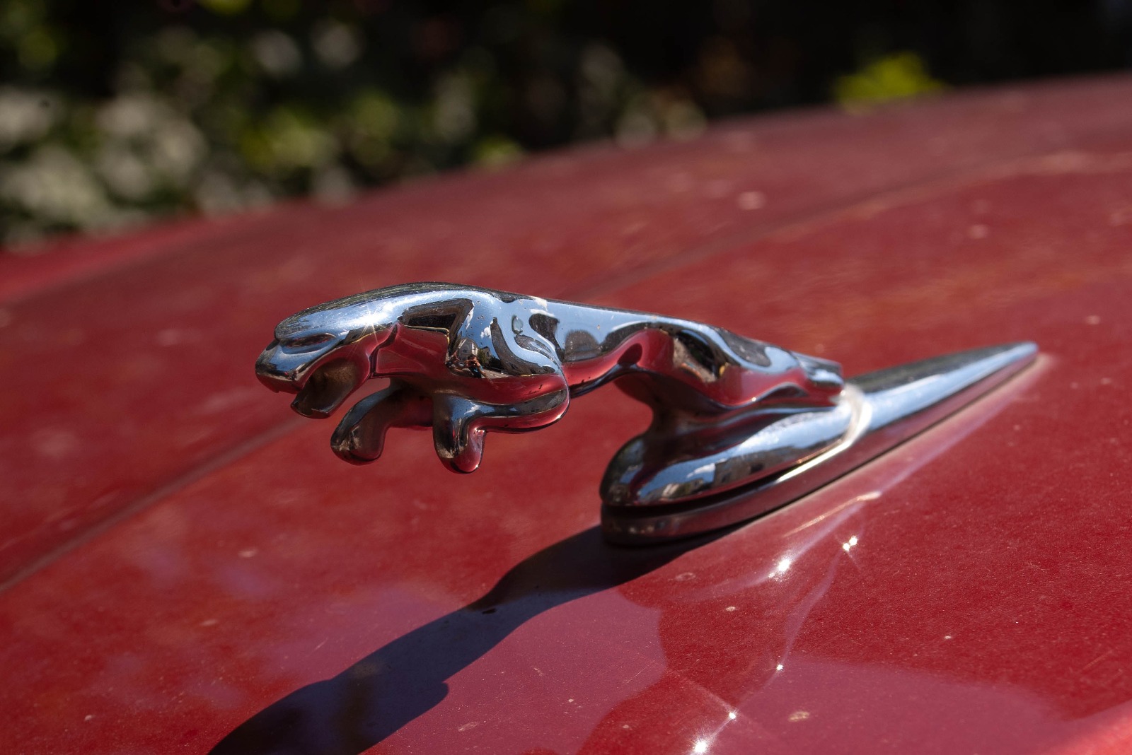 WhatsApp Image 2020-07-20 at 15.50.15